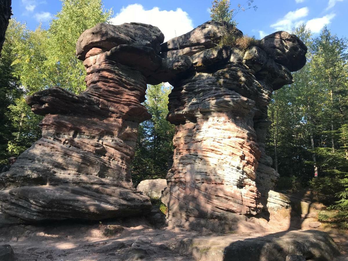 Chez Dina Lägenhet Lutzelhouse Exteriör bild