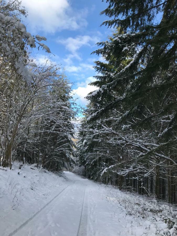 Chez Dina Lägenhet Lutzelhouse Exteriör bild